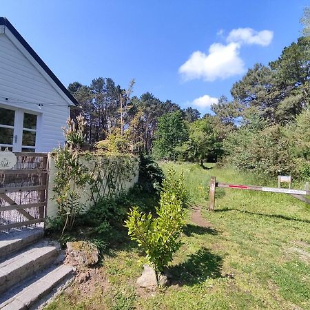 Chalet Cosy, Plages A Pieds. Morbihan. Plouhinec  Eksteriør billede