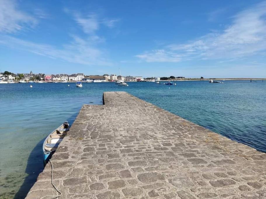 Chalet Cosy, Plages A Pieds. Morbihan. Plouhinec  Eksteriør billede